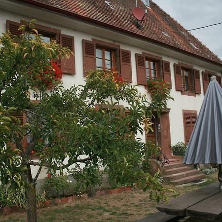 Maison D'Alsace Breitenbach-Haut-Rhin Dış mekan fotoğraf