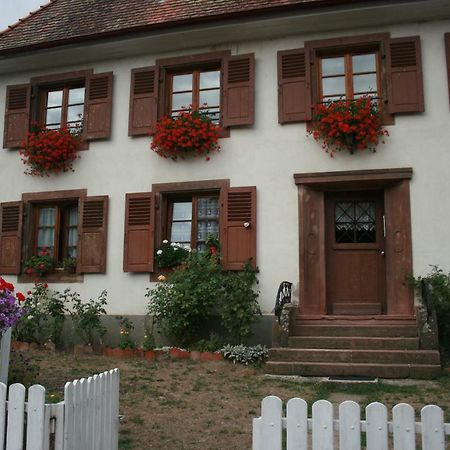 Maison D'Alsace Breitenbach-Haut-Rhin Dış mekan fotoğraf