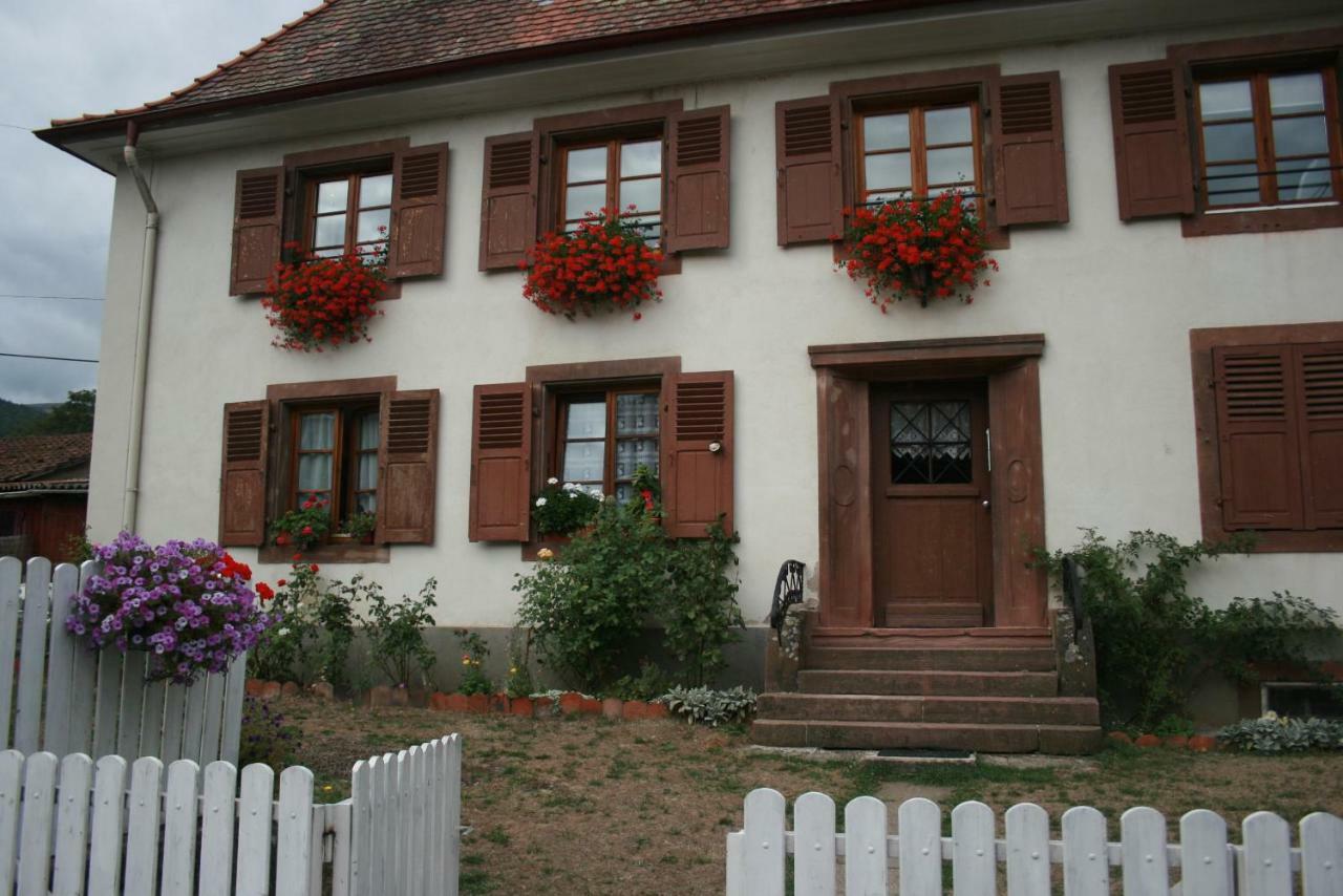Maison D'Alsace Breitenbach-Haut-Rhin Dış mekan fotoğraf
